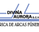 Divina Aurora: the Eternal Business