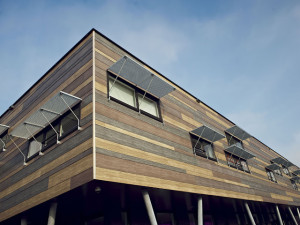 rockpanel_woods