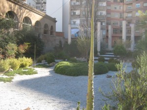becoming a garden