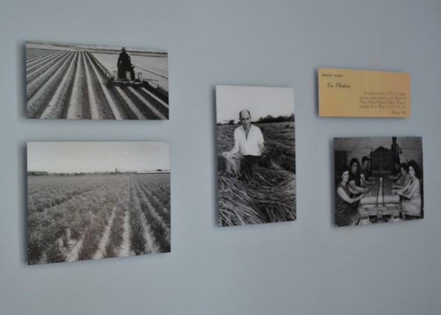 Photos by Mark Sicon