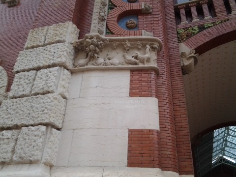 Copia de colon4