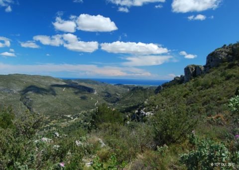 the_place.jpg.600x429_q85_crop_upscale