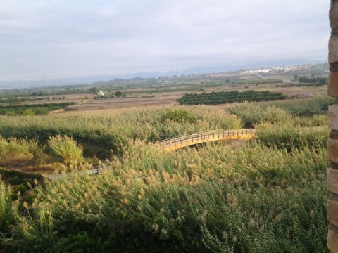 20160925_085949