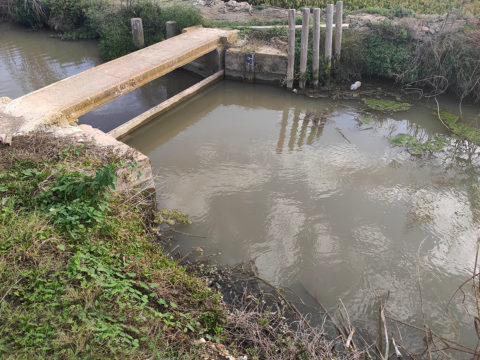 This image has an empty alt attribute; its file name is ContaminacionAlbufera01-480x360.jpg